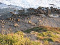 Carpinteria California 2010-02 0740